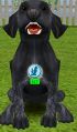 After you have performed the action that makes your pet go into the right position, an icon for that trick appears. Click on it.