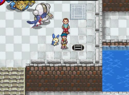 Pokémon Ranger Finding the strays StrategyWiki Strategy guide and