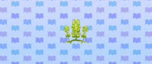 ACNL seagrapes.png