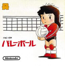 Box artwork for Volleyball.