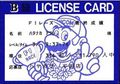 Printed license sent by Nintendo