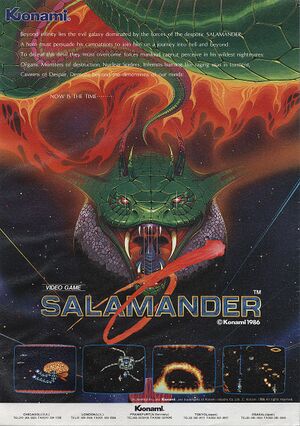 Salamander arcade flyer.jpg