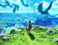 Link and birds