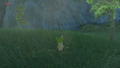 The Korok found on Brynna Plain from Breath of the Wild