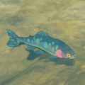 The Chillfin Trout in the Hyrule Compendium from Breath of the Wild