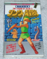 Link on the cover of the Futami Strategy Guide