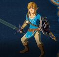 Link wearing the Champion's Tunic, as seen in-game