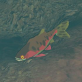The Sizzlefin Trout in the Hyrule Compendium from Breath of the Wild
