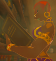 Rotana reading a book in her home from Breath of the Wild
