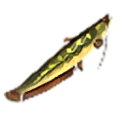 A Ordon Catfish from Hyrule Warriors: Definitive Edition