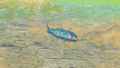 The Chillfin Trout in the Hyrule Compendium from Tears of the Kingdom