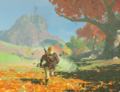 An image of the Shadow Pass from Breath of the Wild shared on page 16