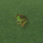 BotW Hyrule Compendium Tireless Frog.png
