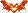 Chauve-Souris de feu