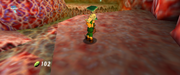 Link et Ruto