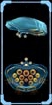 Glider Logbook.jpg