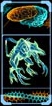 Meta Ridley mp1 Logbook Left.jpg