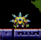 Zoomer zm Manual Image.jpg