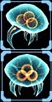 Metroid Logbook Left.jpg