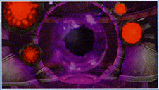 Portals mpt Manual Image.png