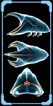 Triclops Logbook Right.jpg