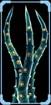Aqua Reaper Logbook Right.jpg