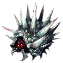 A Zoomer
