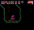 Pink Zebesian.png