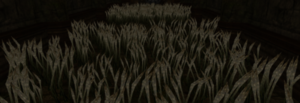 Tangle Weed mp1 Screenshot 01.png