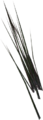Sandgrass.png