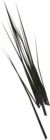 Sandgrass.png