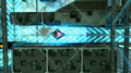Spider Guardian.png