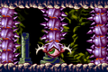Deorem zm.png