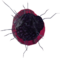 Dark Portal.png