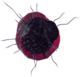 Dark Portal.png