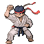 Pokemon FRLG Black Belt.png