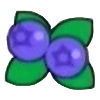 DogIsland blueberry.png