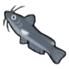 DogIsland catfish.png