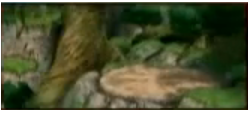 Naruto CoN stage Leaf Forest.png