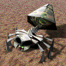 TACC-Scorpion.png