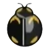 DogIsland blackladybug.png