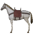 Mount&Blade horse Courser.png