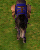 Age of Mythology Unit Donkey Caravan (Greek).png