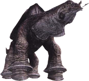 Adamanchelid