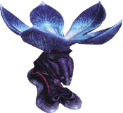 Noctilucale