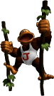 SSBM Trophy Donkey Kong Junior.png