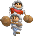 SSBM Trophy Ice Climbers Smash2.png