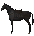 Mount&Blade horse Saddle Horse.png