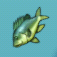 Aquaria fish-01.png