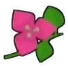 DogIsland bougainvillaeaflower.png